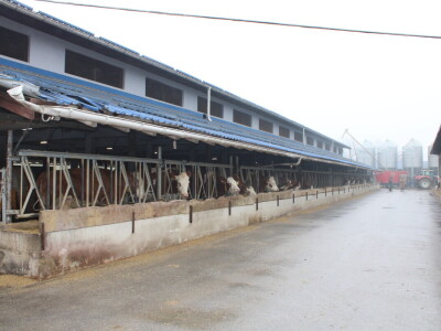 Nezaustavljiv rast Farme Euro, uskoro vrata otvara i sirana