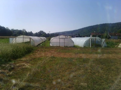 Nihad i Semina Gurbeta se već 15 godina bave plasteničkom proizvodnjom