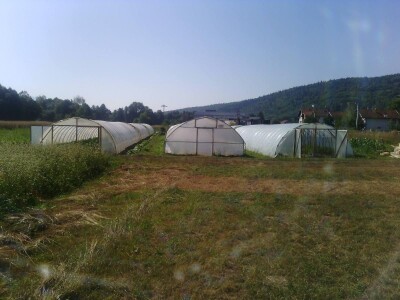 Nihad i Semina Gurbeta se već 15 godina bave plasteničkom proizvodnjom