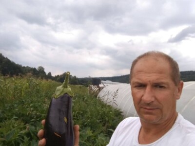 Nihad i Semina Gurbeta se već 15 godina bave plasteničkom proizvodnjom