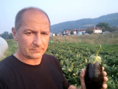 Nihad i Semina Gurbeta se već 15 godina bave plasteničkom proizvodnjom