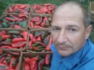 Nihad i Semina Gurbeta se već 15 godina bave plasteničkom proizvodnjom