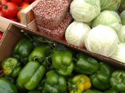 Nihad i Semina Gurbeta se već 15 godina bave plasteničkom proizvodnjom