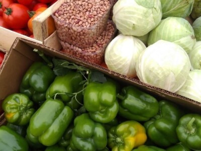 Nihad i Semina Gurbeta se već 15 godina bave plasteničkom proizvodnjom