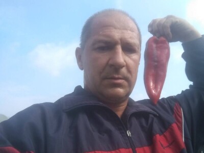 Nihad i Semina Gurbeta se već 15 godina bave plasteničkom proizvodnjom