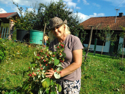 Lijek iz prirode - za svaki organ biljka postoji! Lijek iz prirode - za svaki organ biljka postoji!