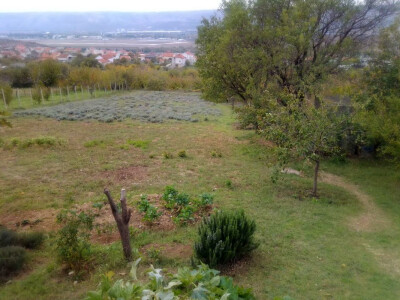 Nije htjela prodati smilje u bescijenje, pa se posvetila izradi prirodne kozmetike