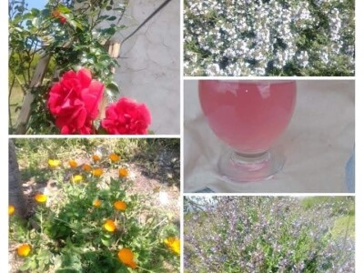 Nije htjela prodati smilje u bescijenje, pa se posvetila izradi prirodne kozmetike