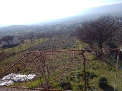 Nije htjela prodati smilje u bescijenje, pa se posvetila izradi prirodne kozmetike