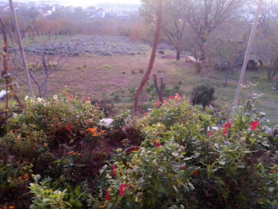 Nije htjela prodati smilje u bescijenje, pa se posvetila izradi prirodne kozmetike