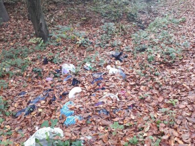 „Nije opasna plastika, nju možemo reciklirati, opasni su neodgovorni ljudi!“