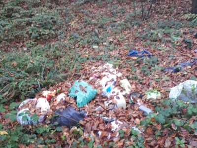 „Nije opasna plastika, nju možemo reciklirati, opasni su neodgovorni ljudi!“