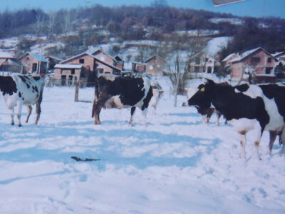 Iz obiteljske arhive