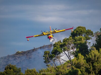Niko Barbarić - Požar 26.08.2024.