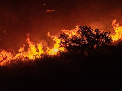 Niko Barbarić - Požar 26.08.2024.