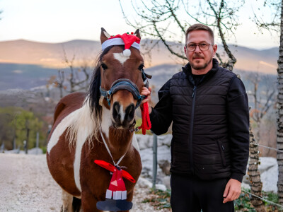 OPG Tihomir Lučić Gornji Dolac