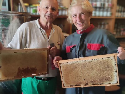 Vrcanje bagremovog meda