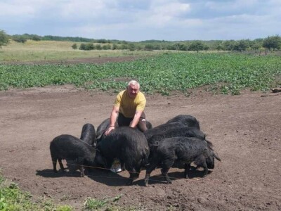 Uzgoj moravke Uzgoj moravke