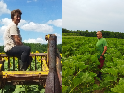 OPG Dasović Malo Vukovje