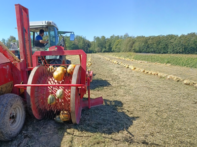 OPG Dasović Malo Vukovje