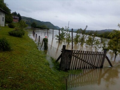 Ninići povadili 2.500 sadnica voća kako bi ih spasili od poplava i ponovo posadili