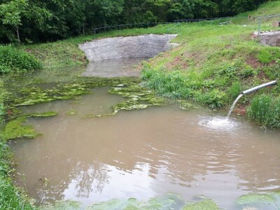 Nišlija živi svoj san – pravi zavičajno imanje
