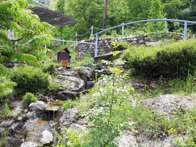 Nišlija živi svoj san – pravi zavičajno imanje