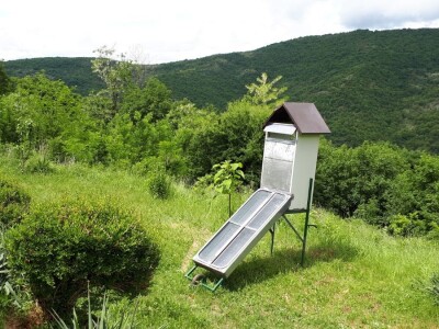 Nišlija živi svoj san – pravi zavičajno imanje