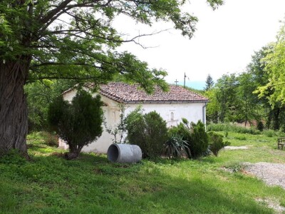 Nišlija živi svoj san – pravi zavičajno imanje