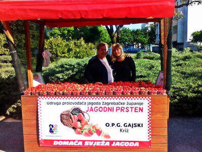 Kvaliteta jagoda na prvom mjestu! Kvaliteta jagoda na prvom mjestu!