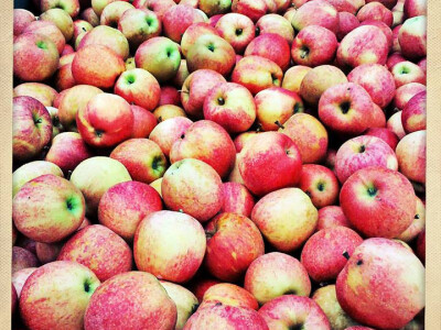 Zdrave jabuke - zdrav život! Zdrave jabuke - zdrav život!