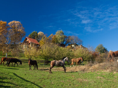 Seoski turizam Vlajinić