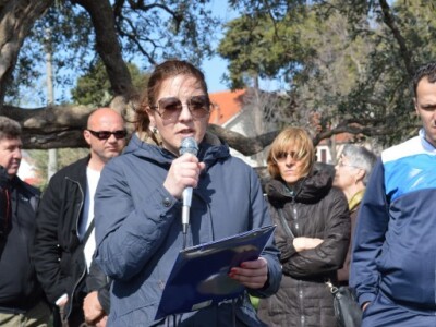 Noćnjak - o maslinama