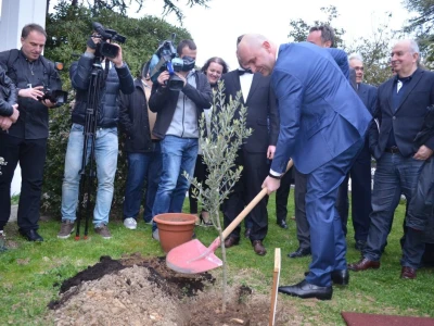 Noćnjak 2018.