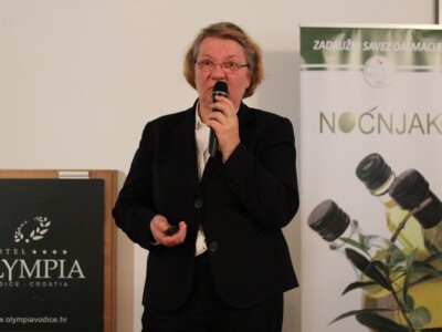 Noćnjak 2018, Vodice