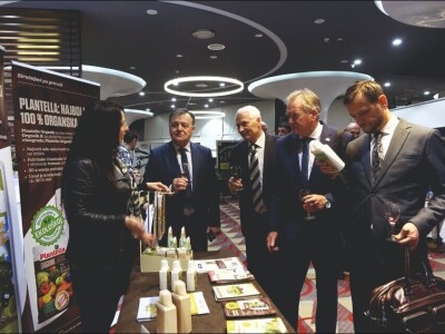 Noćnjak 2020 Noćnjak 2020