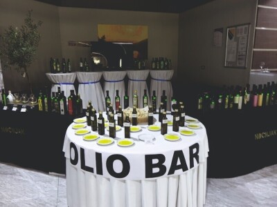 Noćnjak 2020 Noćnjak 2020