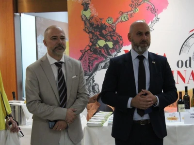 Noćnjak 2020 Zadar