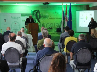 Noćnjak 2020 Zadar