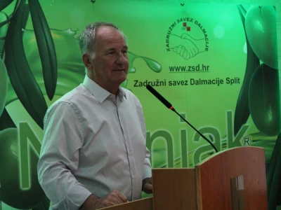Noćnjak 2020 Zadar