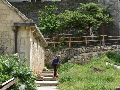 Noćnjak 2022 Dol