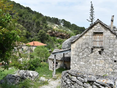 Noćnjak 2022 Dol