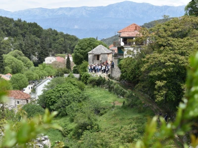 Noćnjak 2022 Dol