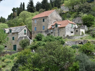 Noćnjak 2022 Dol