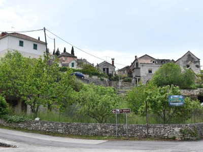 Noćnjak 2022 Dol