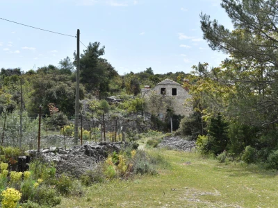 Noćnjak 2022 Dol
