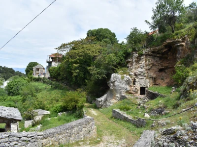 Noćnjak 2022 Dol