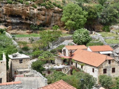 Noćnjak 2022 Dol