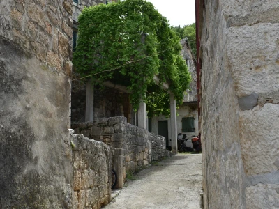 Noćnjak 2022 Dol