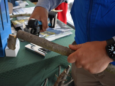 Noćnjak 2022 ENTRADA